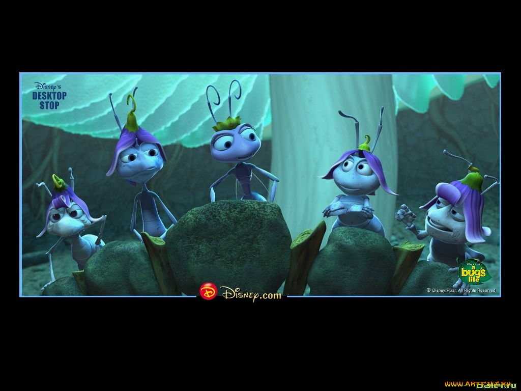 , bugs, life